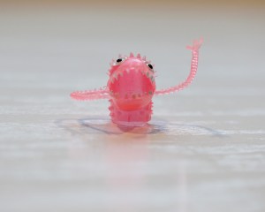 Monster finger puppet.