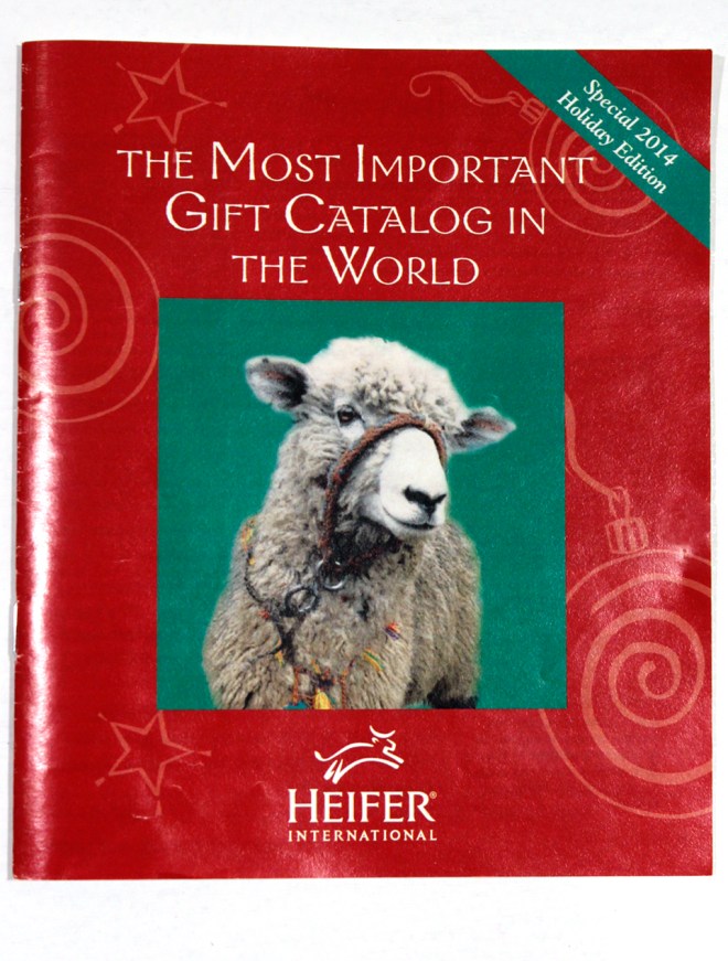 heifer internatl