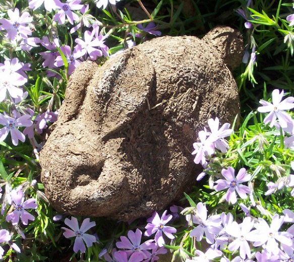 From www.dungbunnies.com