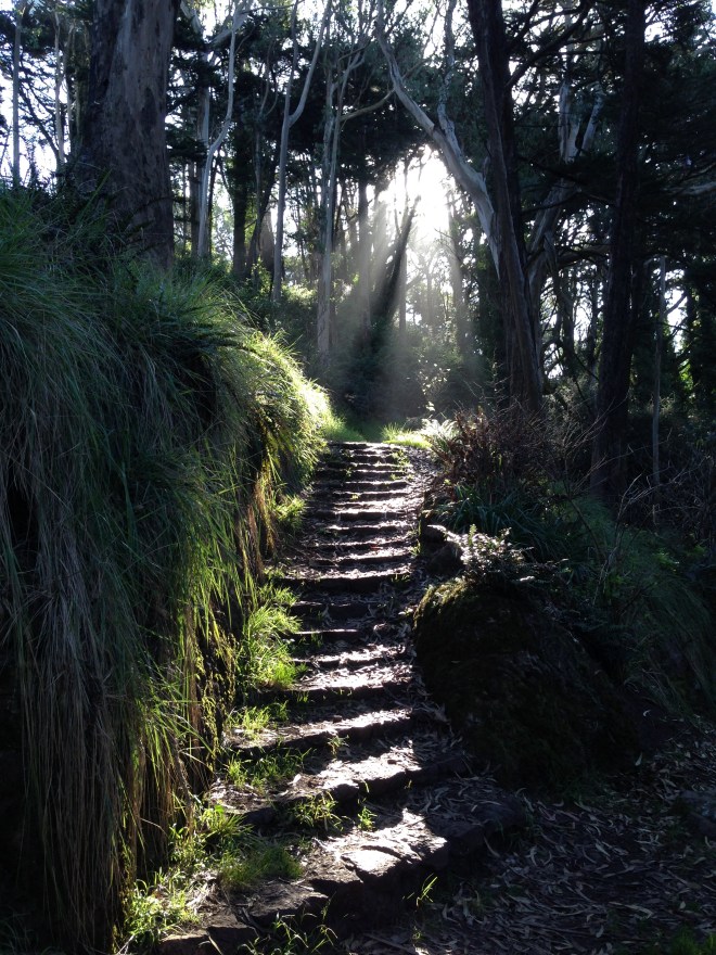 I will imagine that instead of staying up late yet again to finish tomorrow's lecture and finish a writing project I need to submit this evening, I am instead sleeping peacefully or walking through the woods.