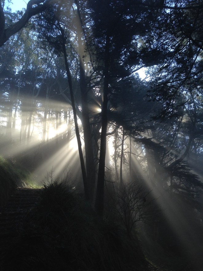 ©2015 Beret Olsen. So, yeah. I know it's all blown out. All I had was my cell phone. It will have to do as an approximation of awesomeness.