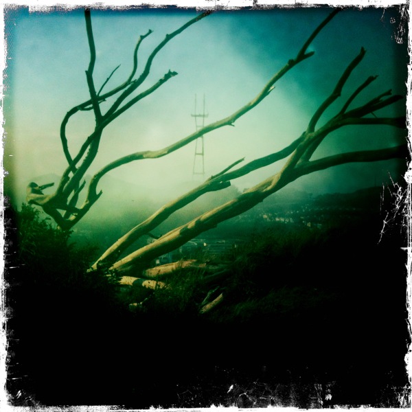 The view from another, more photogenic, San Francisco hill.