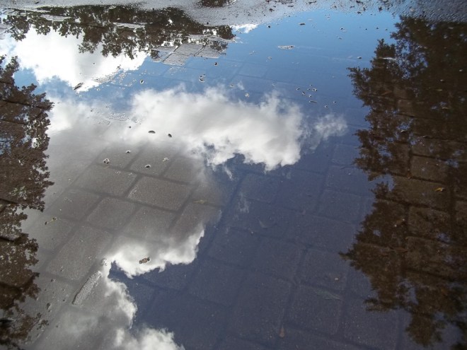 Photo Credit: earthisthering